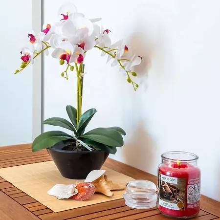 Controvento Sea View B&B